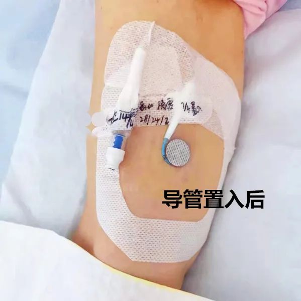 微信图片_20230509082129