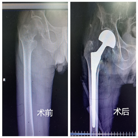 微信图片_20240429091606_副本.jpg